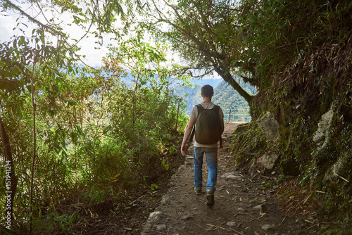 939120 Back view of man walking in trail