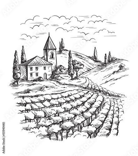 Rows of vineyard grape plants and castle in graphic style, hand-drawn vector illustration.