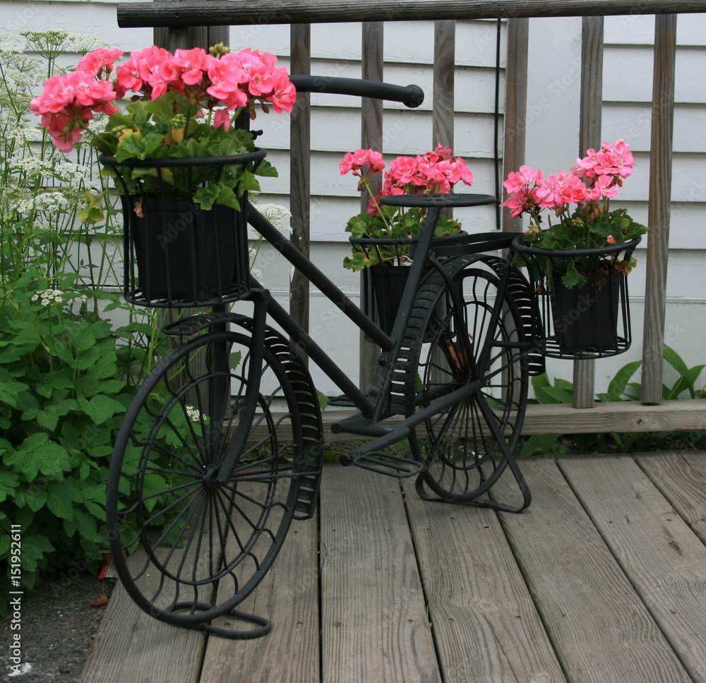 Bicycle Flower Pot