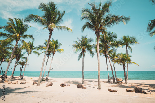 Fototapeta Naklejka Na Ścianę i Meble -  Landscape of coconut palm tree on tropical beach in summer - vintage color tone effect.