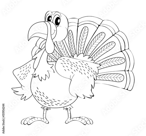 Animal outline for turkey