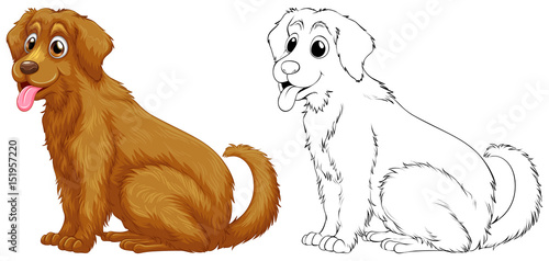Animal outline for golden retriever dog