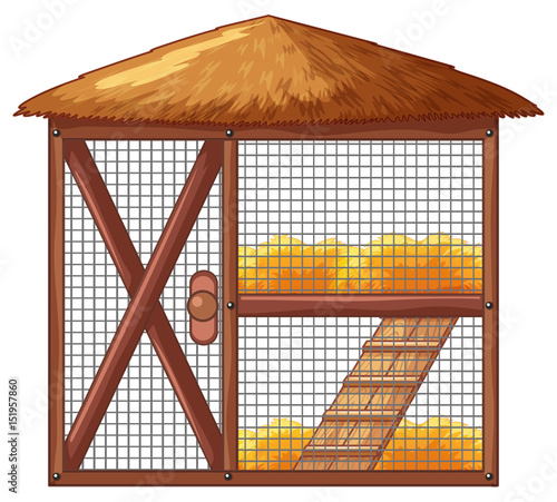 Chicken coop with no chicken