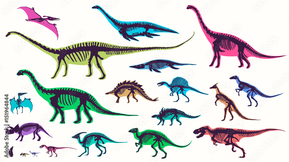 Set, silhouettes, dino skeletons, dinosaurs, fossils. Hand drawn vector illustration. Comparison of sizes, realistic Sketch collection: diplodocus, triceratops, tyrannosaurus, doodle pattern... Set, silhouettes, dino skeletons, dinosaurs, fossils. Hand drawn vector illustration. Comparison of sizes, realistic Sketch collection: diplodocus, triceratops, tyrannosaurus, doodle pattern...