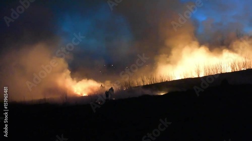 Wallpaper Mural Wildfire Torontodigital.ca