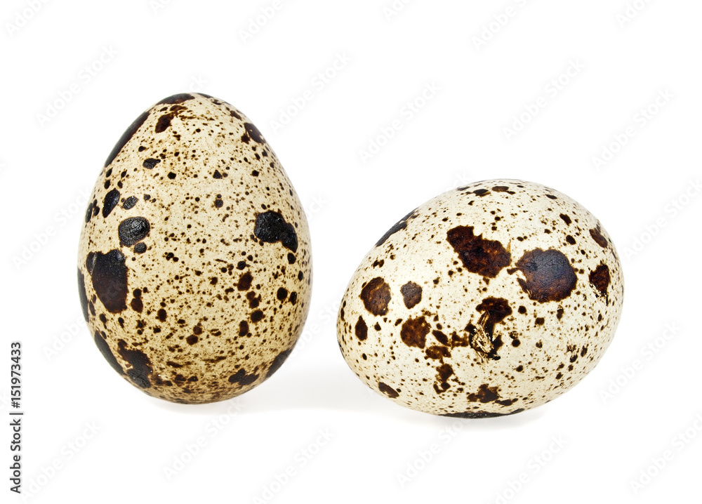 Quail eggs on a white background Quail eggs on a white background