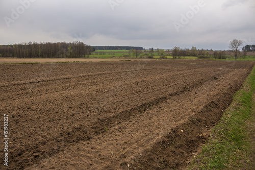 Plowed field near forest . Drawing on the ground furrows and traces of tractor tires. Early Spring on Podlasie, Eastern Poland.