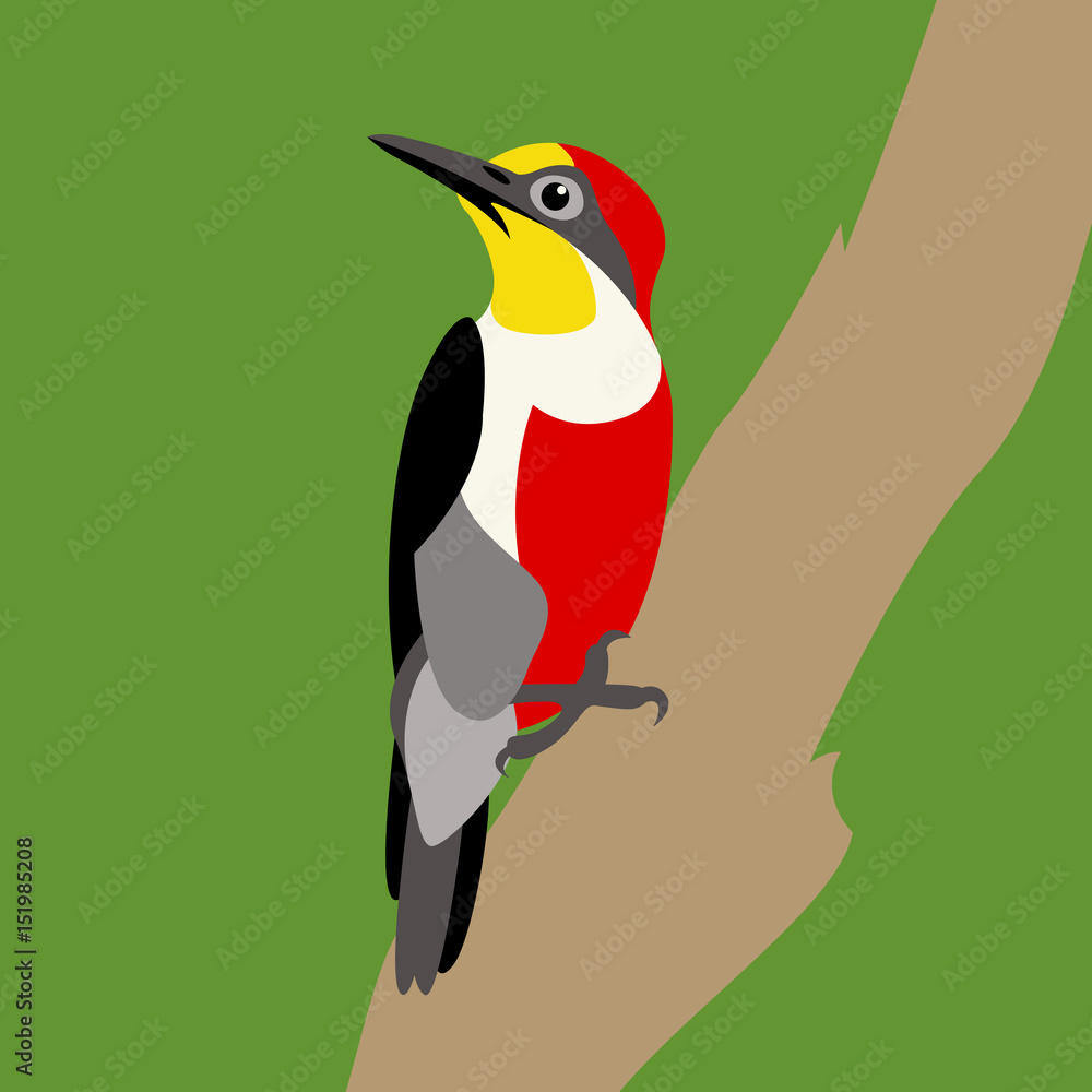 Obraz premium Woodpecker on the branch vector illustration style Flat