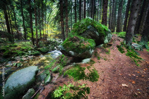 Stream in Karkonosze Mountains Forest
