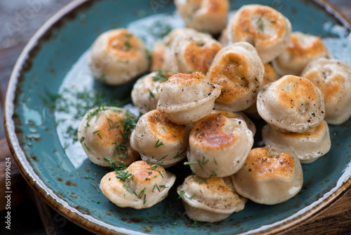 Close-up of fried russian meat dumplings pelmeni served on a turquoise plate, selective focus, studio shot