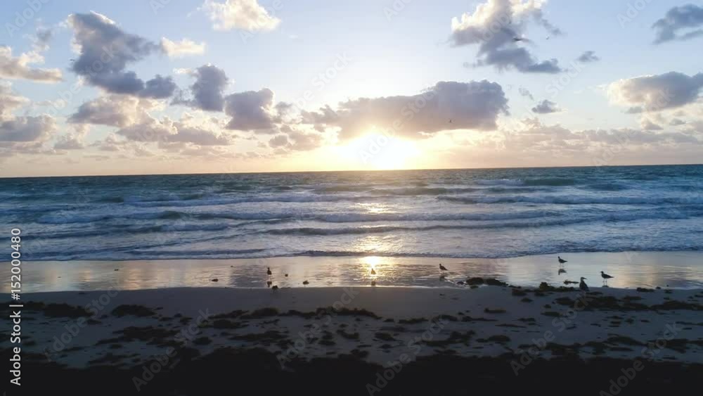 Amazing Beach Sunrise Sunrays Bright Through Clouds Seagulls Relaxing and Flying Dolly Shot Moving Right Amazing Beach Sunrise Sunrays Bright Through Clouds Seagulls Relaxing and Flying Dolly Shot Moving Right