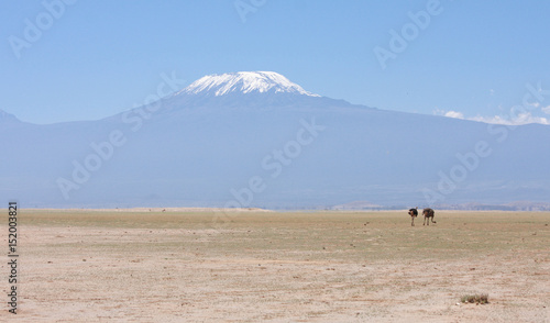 Kilimangiaro photo