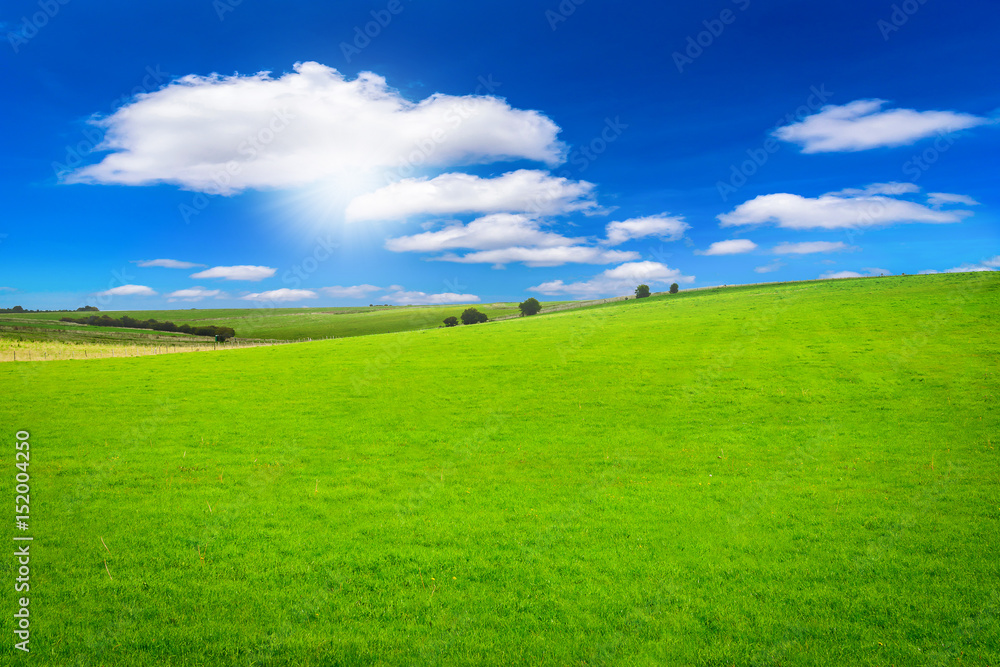 Beautiful green field on blue sky with sunlight background. Beautiful green field on blue sky with sunlight background.