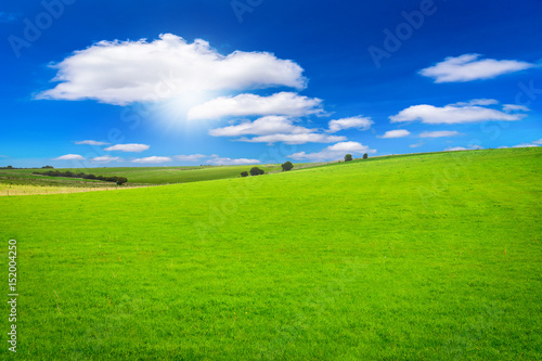 Fototapeta Naklejka Na Ścianę i Meble -  Beautiful green field on blue sky with sunlight background.