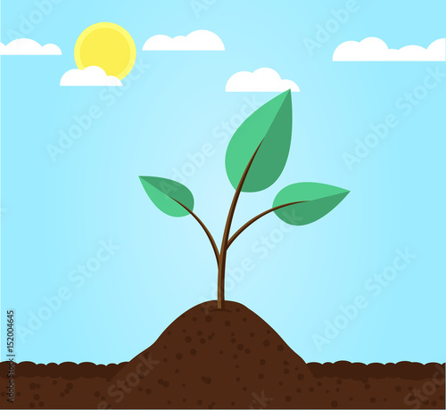 Nachhaltigkeit Symbol Pflanze Samen Flat Design Vektor Grafik Illustration