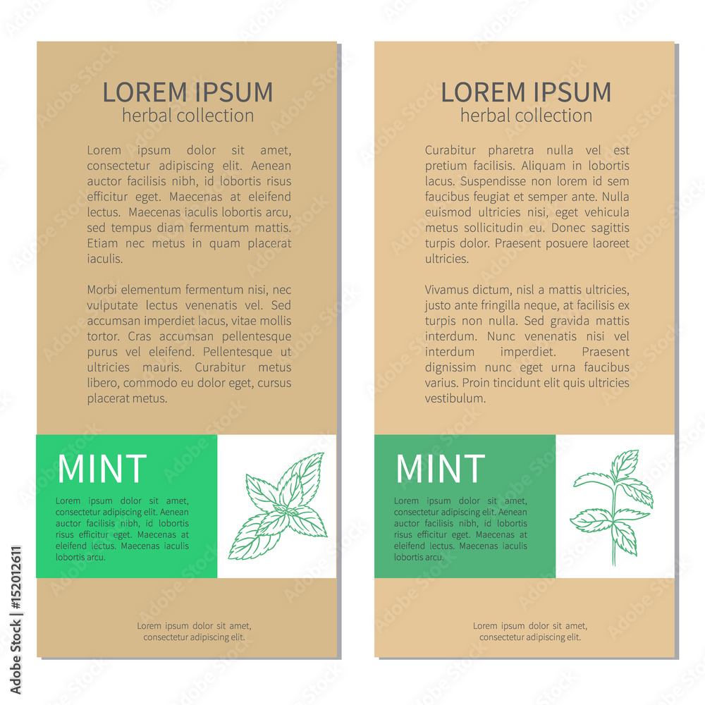 Set of vertical vintage labels with mint leaves. Designed vector frame with space for text. Perfect for cosmetic, store, beauty salon,natural and organic products