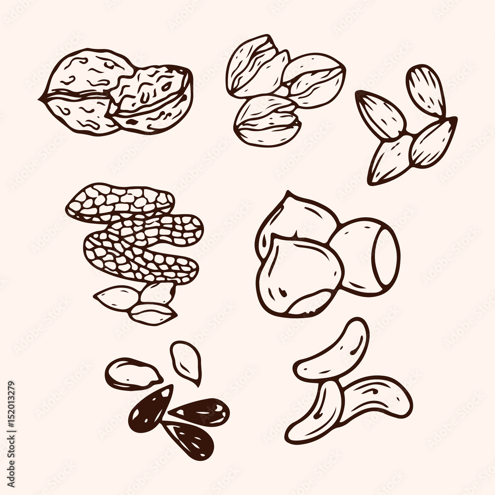 Set of hand-drawn nuts isolated.  Organic farm illustration. Healthy lifestyle vector design elements. Nut icons.