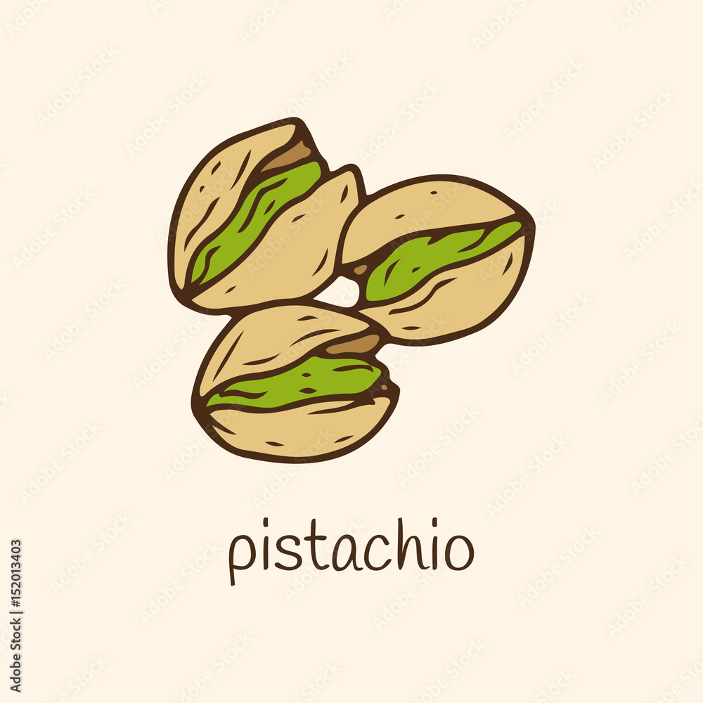 Pistachio vector illustration. Hand drawn pistachio icon Pistachio vector illustration. Hand drawn pistachio icon