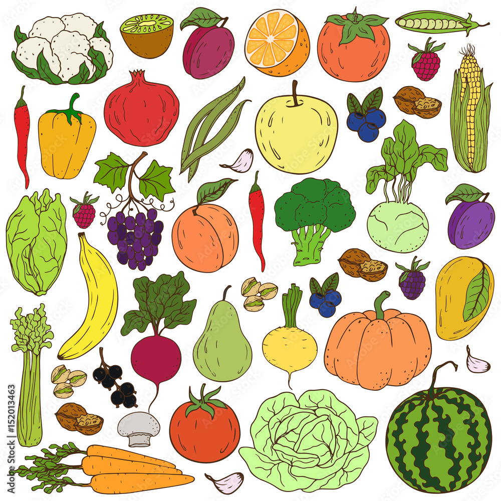 Organic farm illustration. Healthy lifestyle vector design elements. Healthy handdrawing