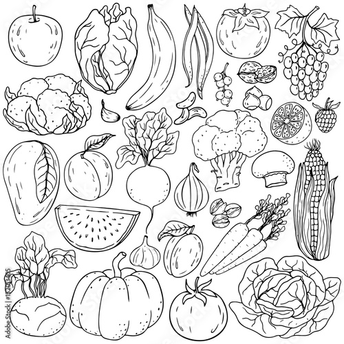 Organic farm illustration. Healthy lifestyle vector design elements. Healthy hand-drawing vegetables , fruits, berries, nuts, mushrooms