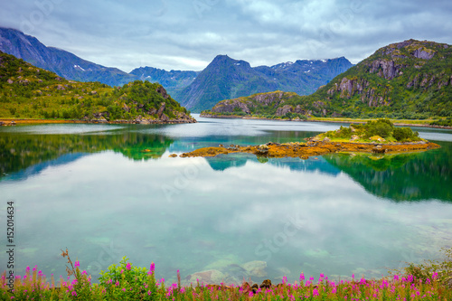 Fototapeta Naklejka Na Ścianę i Meble -  View of the fjord. Rocky seashore with reflection, blue cloudy sky, and blossoming pink flowers. Beautiful nature Norway.