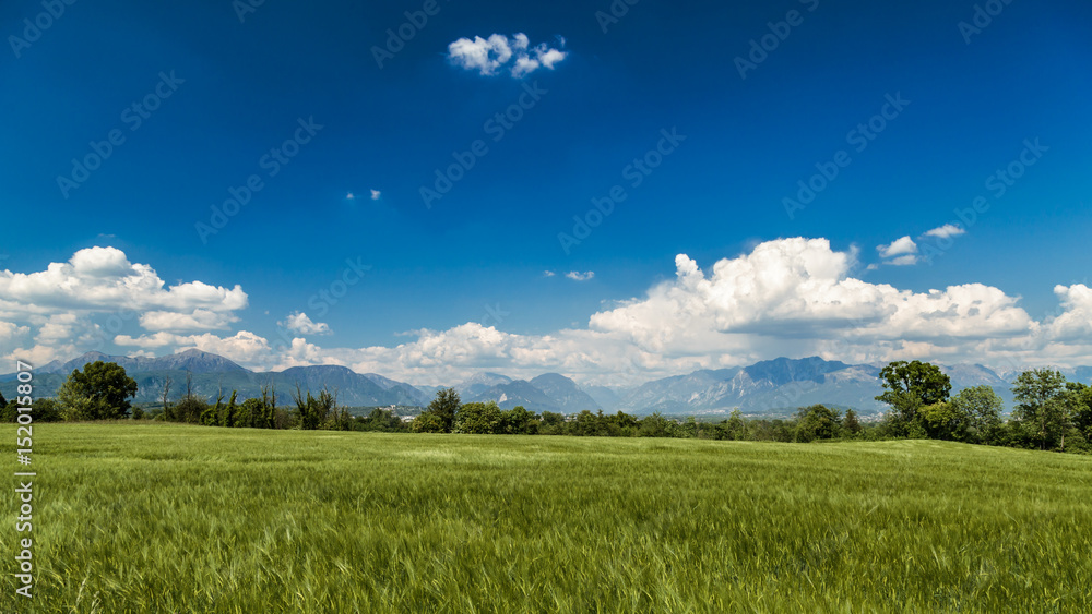 Fields of Italy in a spring day