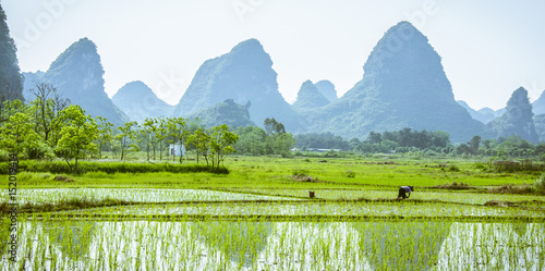 Beautiful countryside scenery in summer