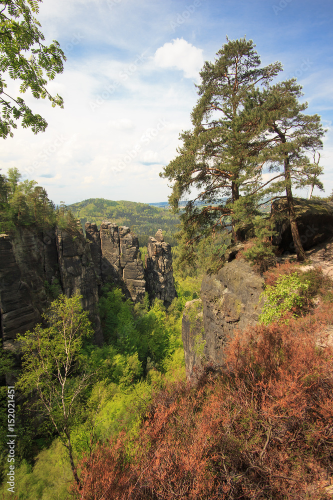 Affensteine Saxony Swiss