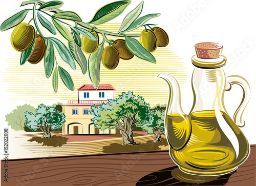 Olives on a branch and a Mediterranean farmhouse surrounded by olive trees.