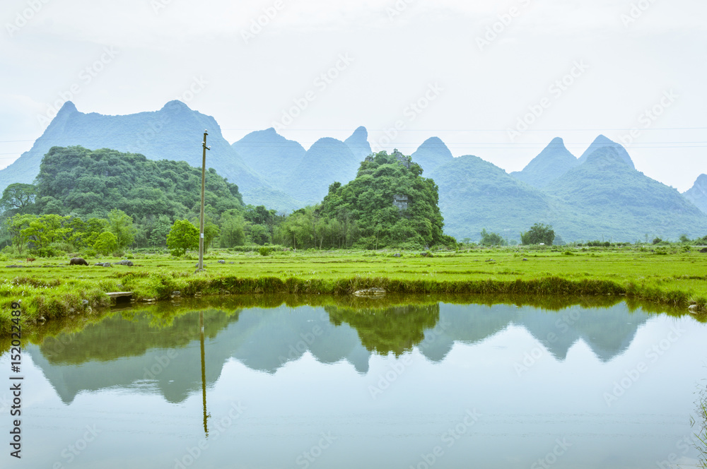 The countryside scenery in summer 