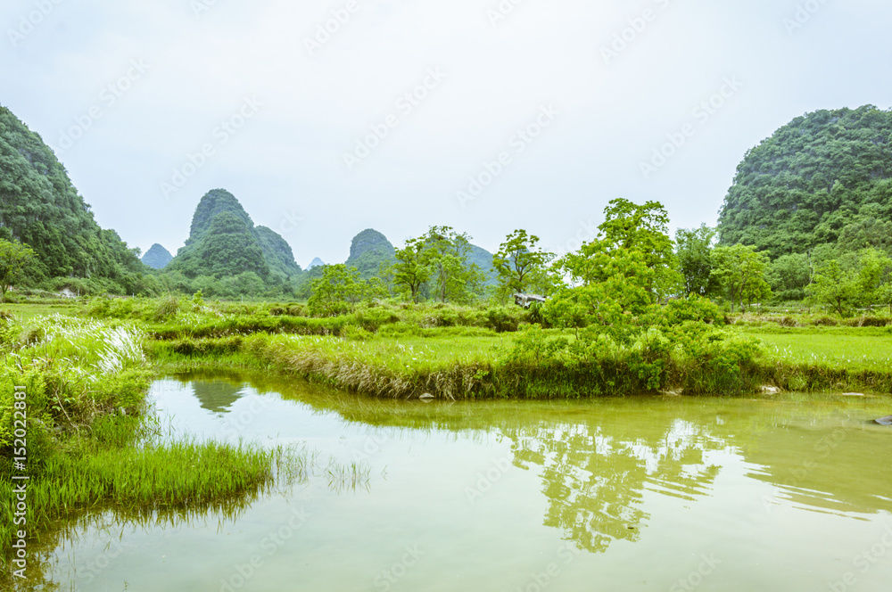 Fototapeta premium The countryside scenery in summer 