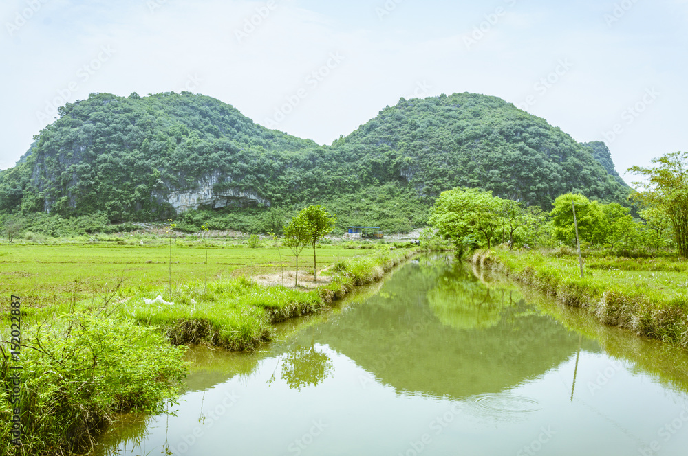 The countryside scenery in summer 