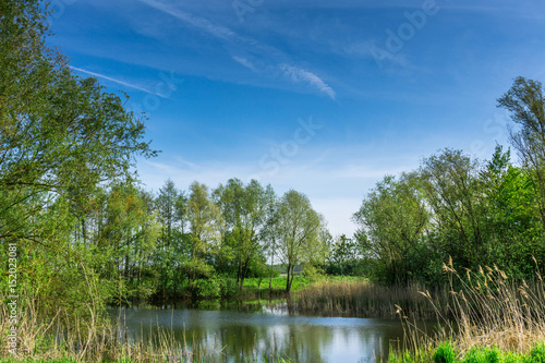 Nature conservation area with trees a small lake at sunshine and blue sky