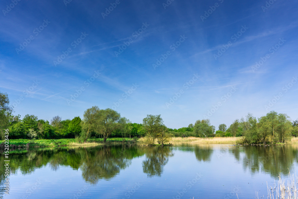 Nature conservation area with trees a small lake at sunshine and blue sky