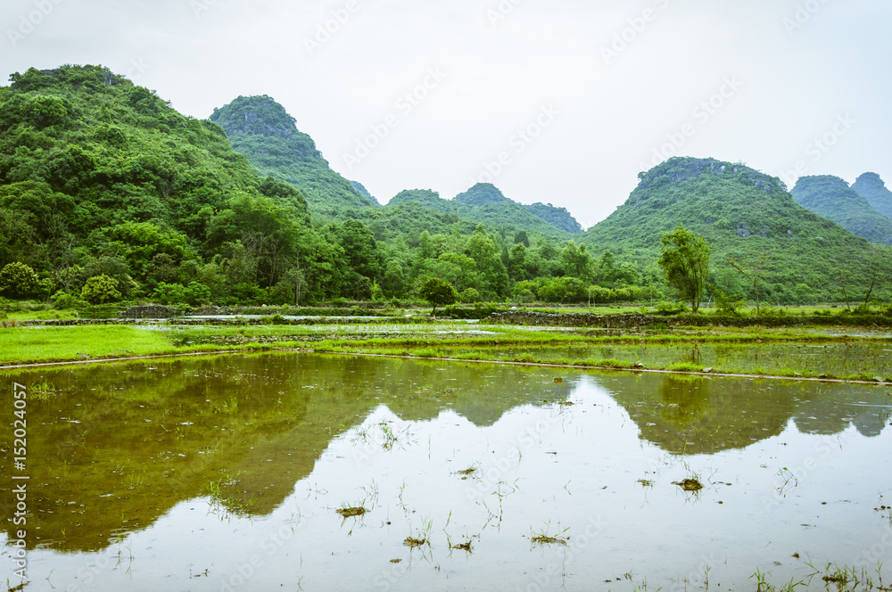 The countryside scenery in summer