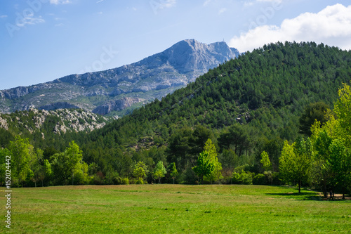 Wallpaper Mural Paysage avec la Montagne Sainte Victoire en Provence au printemps. France. Torontodigital.ca