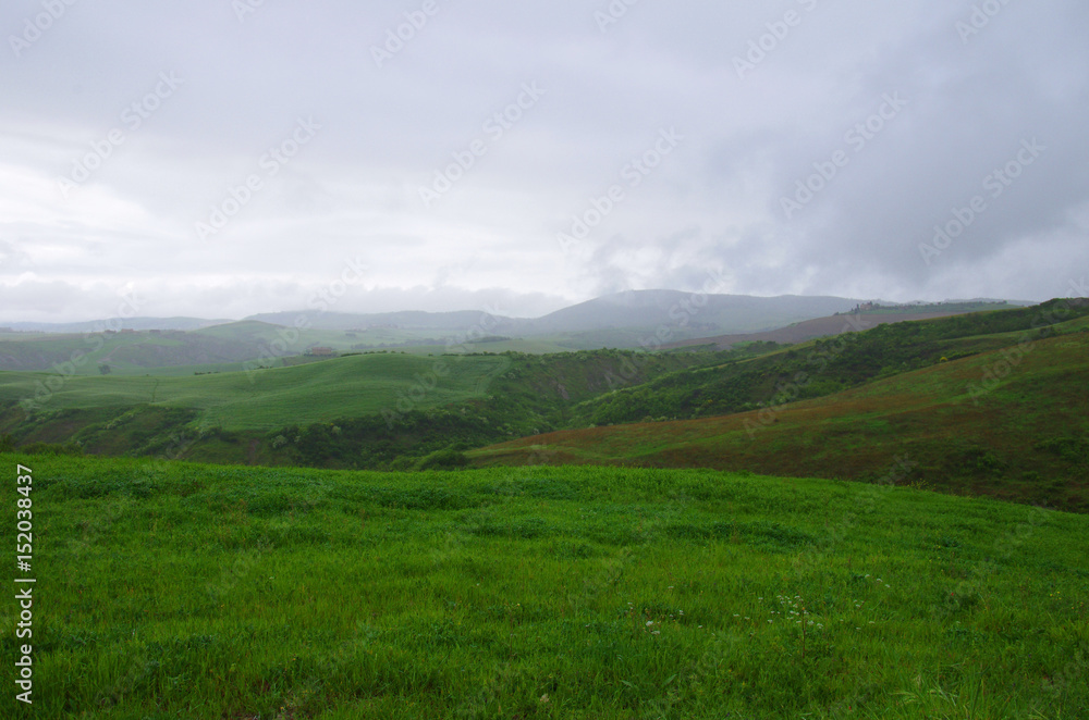 Fototapeta premium Paesaggio in Toscana nella zona delle Crete Senesi