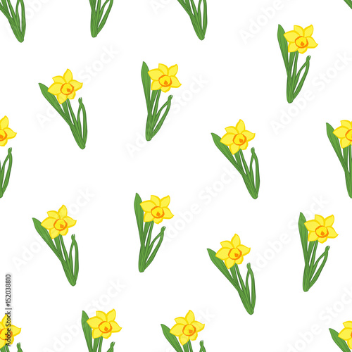 Seamless pattern. Green grass with small yellow narcissus flowers isolated on white. Vector illustration