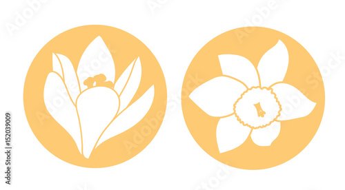 Spring flower icon. White narcissus and crocus flower. Orange round circle flat icons. Vector illustration
