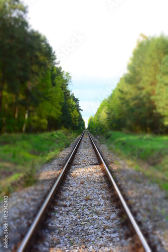 Fototapeta Naklejka Na Ścianę i Meble -  tory kolejowe w lesie