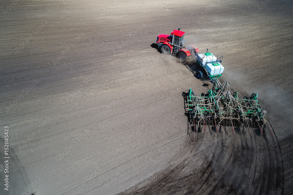 Fototapeta tractor sowing in the field