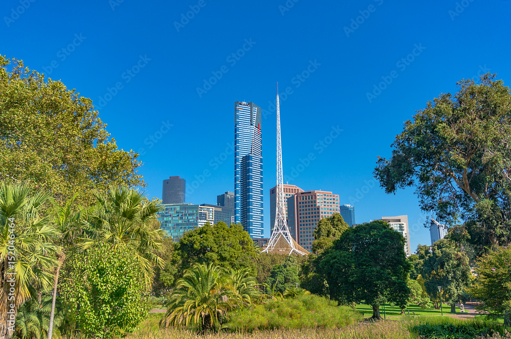 Fototapeta premium Melbourne cityscape surrounded by green trees and palms