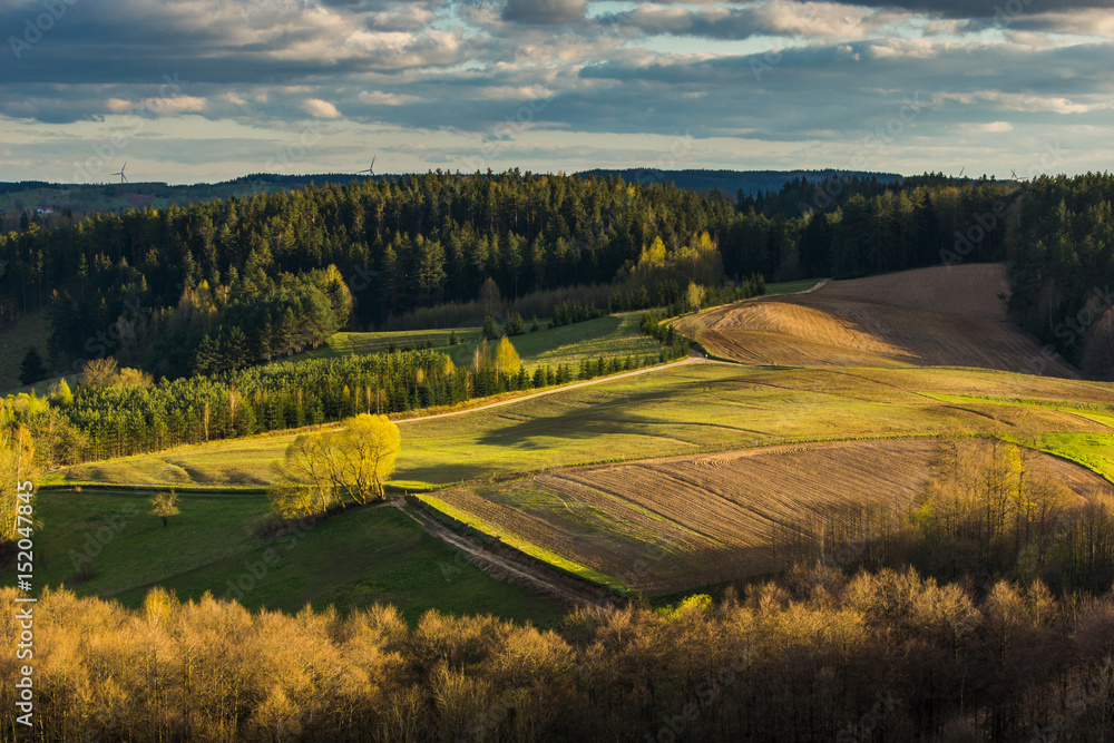 Spring view of road, meadows and trees in Suwalski landscaped park, Podlasie, Poland