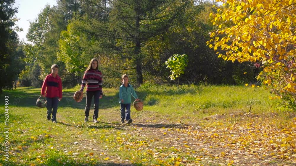 Three happy kids walking in autumn forest for mushrooms Three happy kids walking in autumn forest for mushrooms