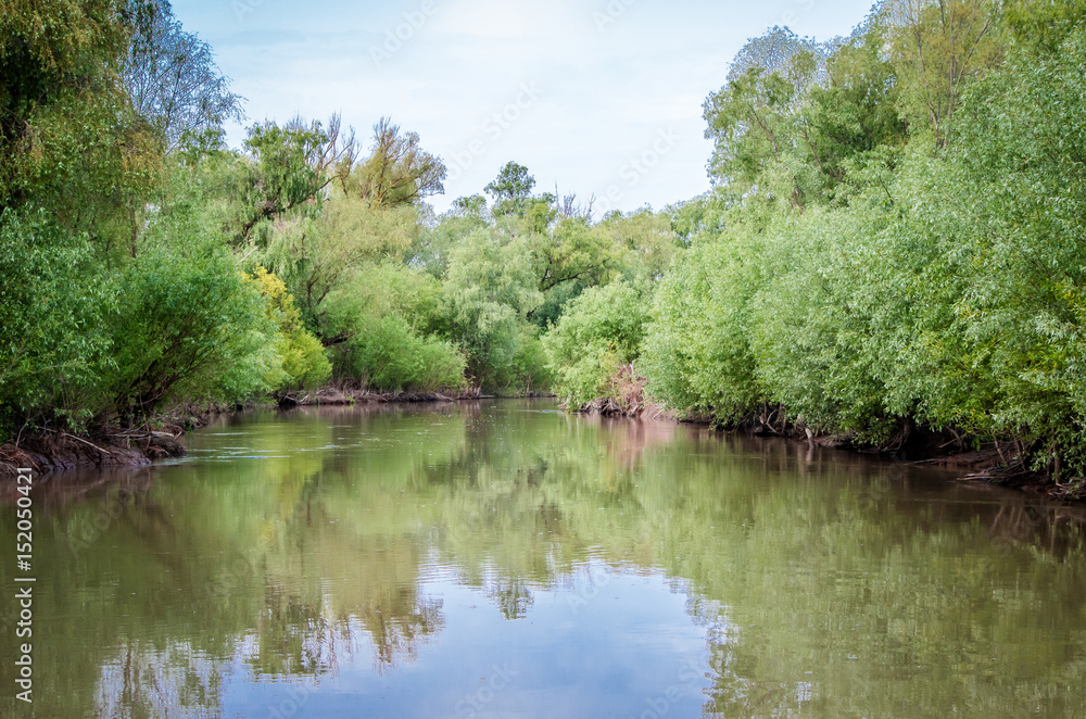 Canal with trees and vegetation reflected in the water. Specific landscape of this area.