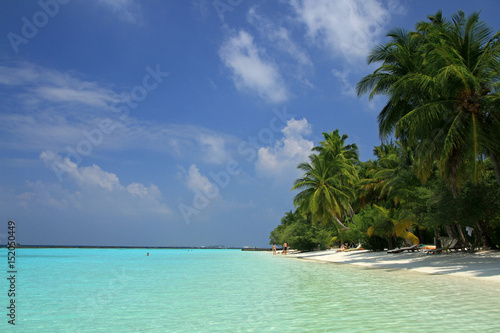 Maldivian beach  Ari Atol  Maldives