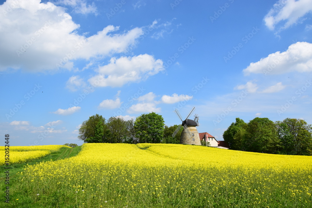 Windmühle Rodenberg im Mai
