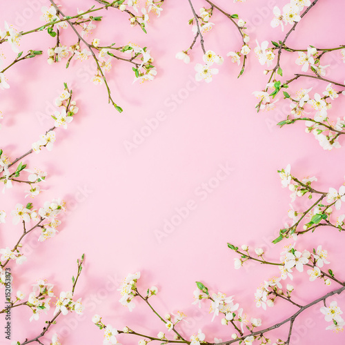 Flower background. Floral round frame of spring white flowers on pink background. Flat lay  top view.