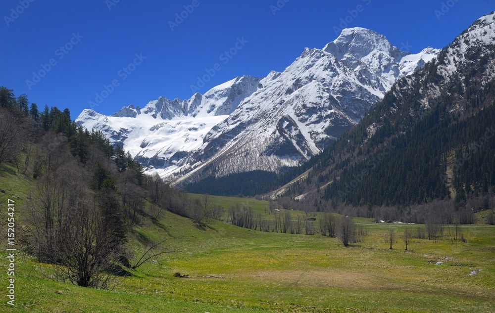 Caucasus in spring