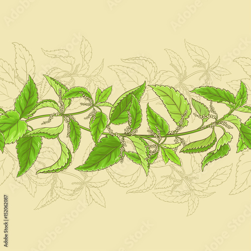 nettle vector pattern